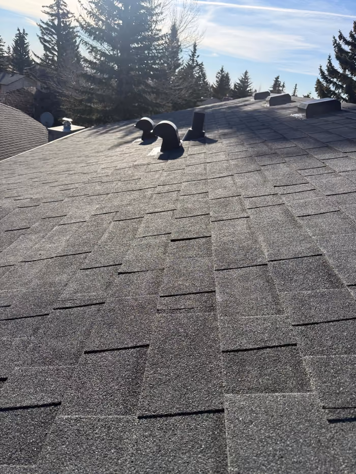 Aged shingle slope with vents overview condition shot