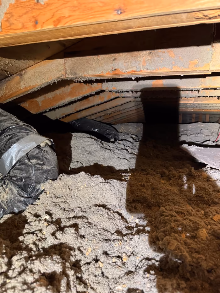 Attic interior view patchy blown in insulation coverage
