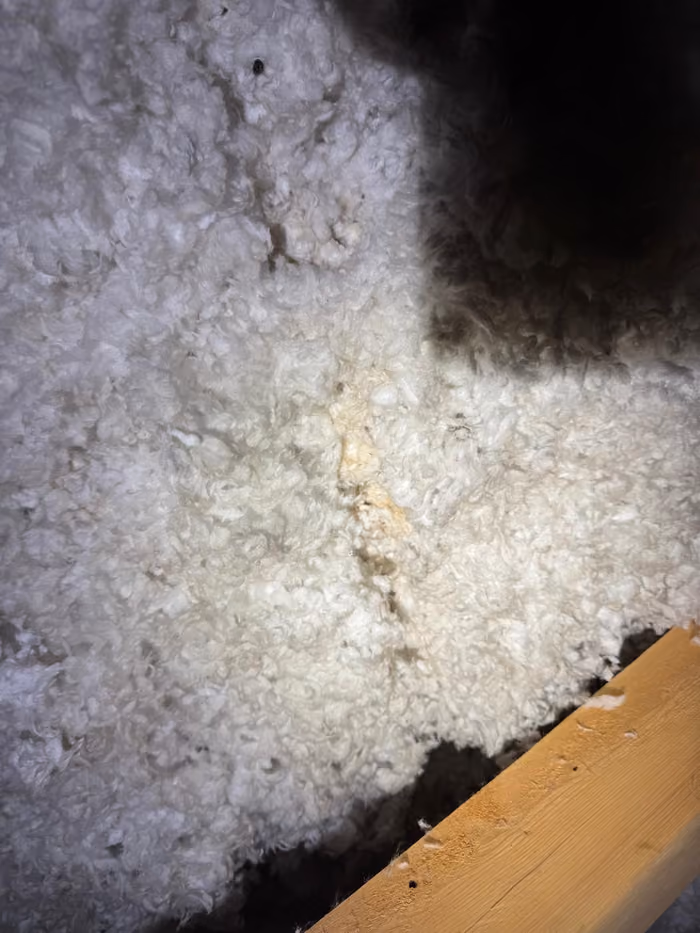 Close up blown in attic insulation between joists