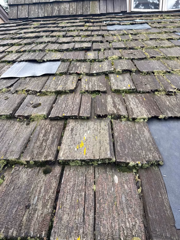 Deteriorated cedar shakes split and moss covered