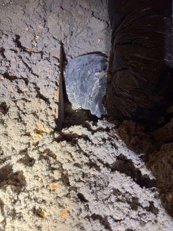 Flex duct run through attic insulation close up