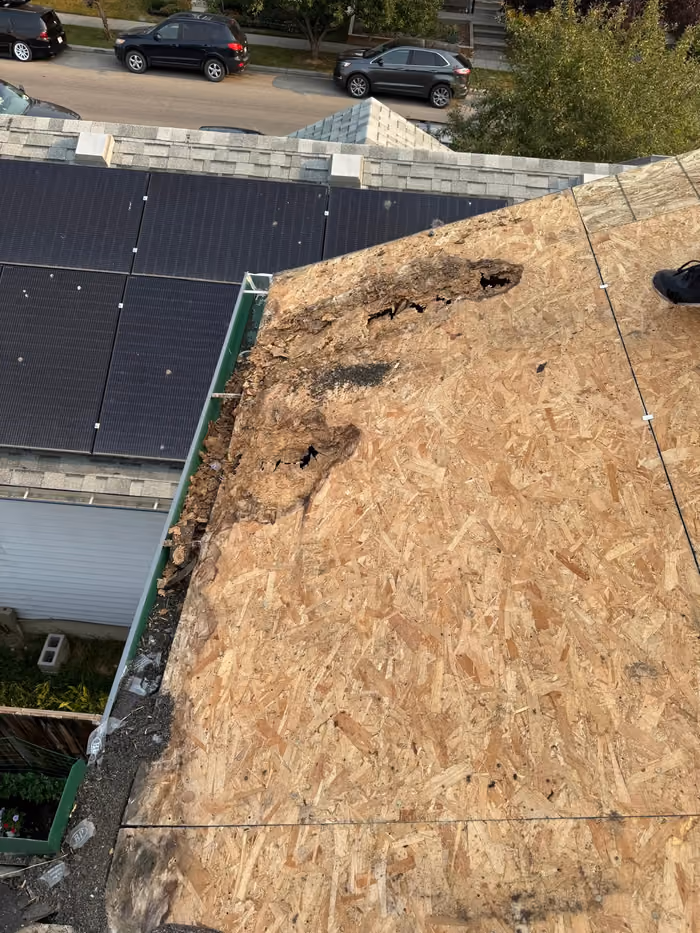 Rotted sheathing hole exposed during tear off