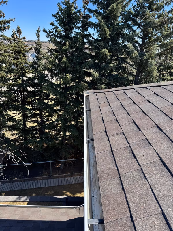 Shingle slope and eave edge with gutter close view