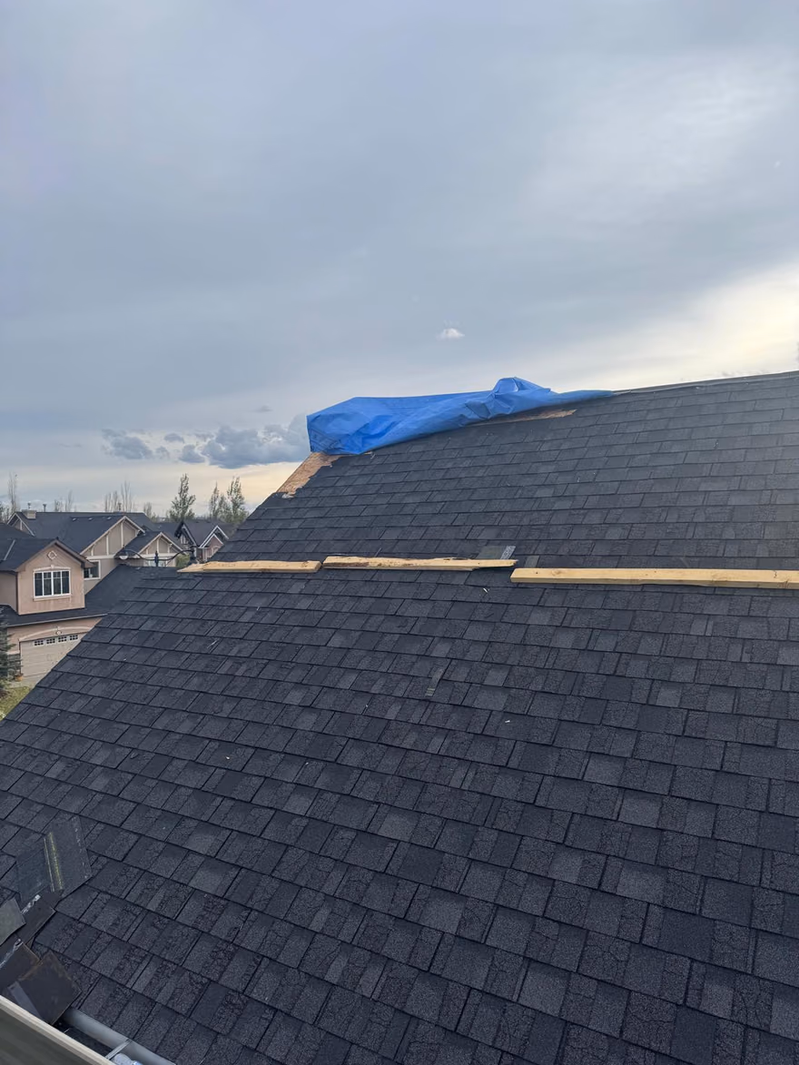 Tarped ridge section during shingle replacement