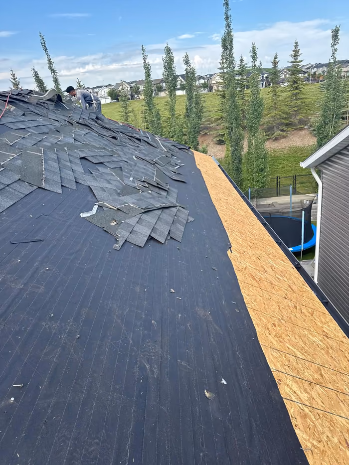 Tear off of old shingles exposing OSB deck