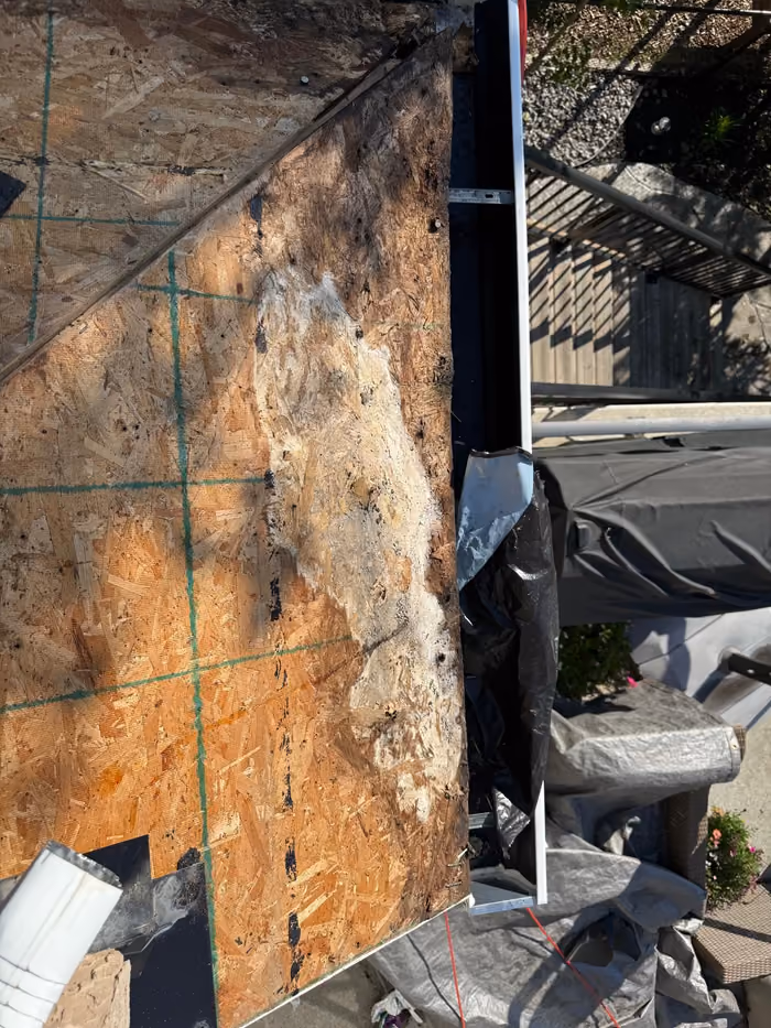 Water stained rotted sheathing at wall junction